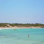 Pineta Grande 2