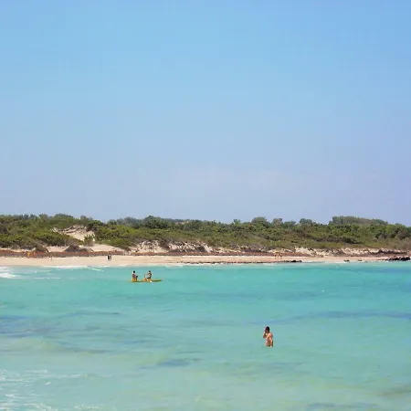 Pineta Grande 2