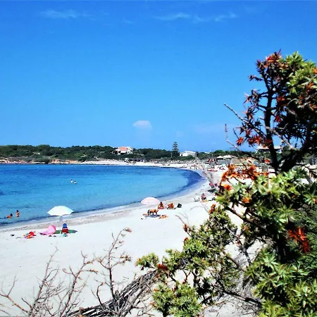 Pineta Grande 2