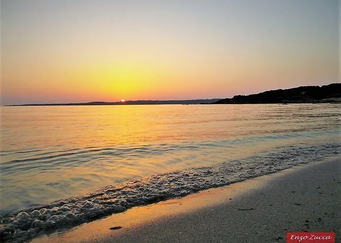 Vakantiehuis Pineta Grande 2 *